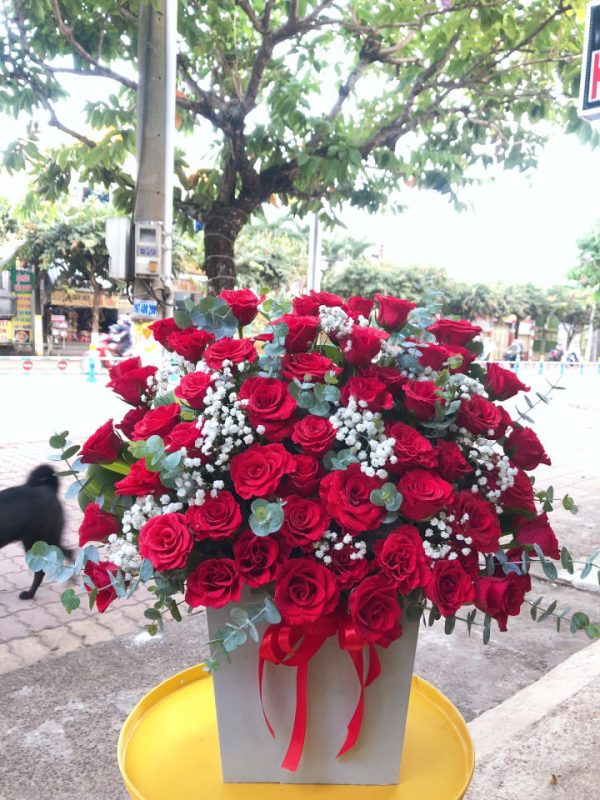 Shop Hoa Tươi Thị trấn Tân Yên, Hàm Yên, Tuyên Quang
