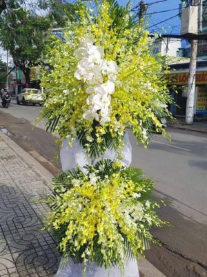 Shop Hoa Tươi Lâm Bình, Tuyên Quang