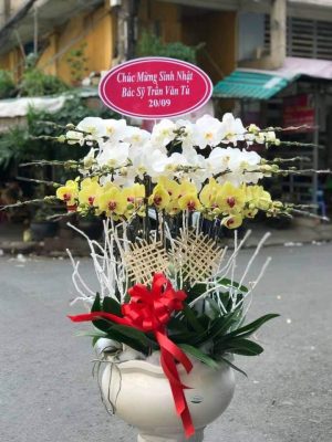 Shop Hoa Tươi Thị trấn Tân Yên, Hàm Yên, Tuyên Quang