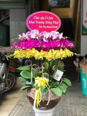 Shop Hoa Tươi Yên Sơn, Tuyên Quang